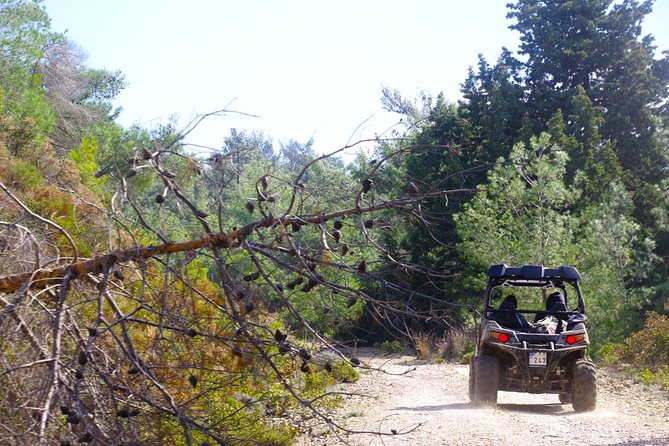 4x4 Buggy Adventures - Off-road Polaris Experience - Driving Polaris through Rhodes backroads, not just sightseeing