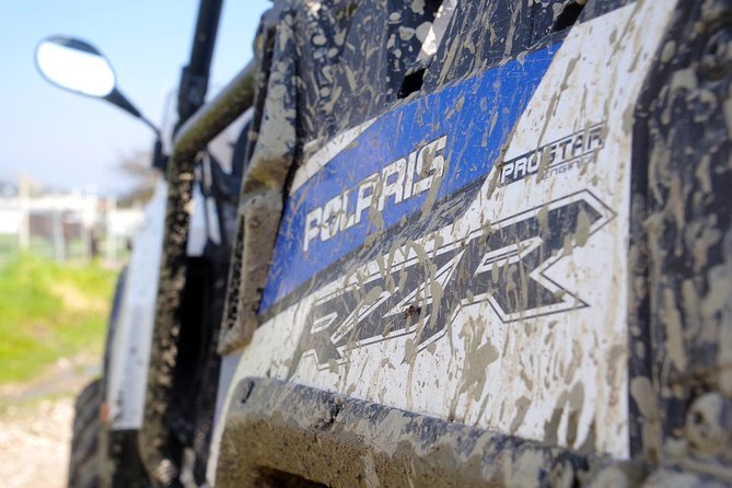 4x4 Buggy Adventures - Off-road Polaris Experience - The halfway farm stop: donkeys, honey, olive oil, and water in cups