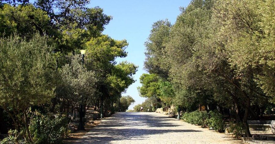 Acropolis, Parthenon and Plaka Guided tour with entrances - Who This Tour Is Best For