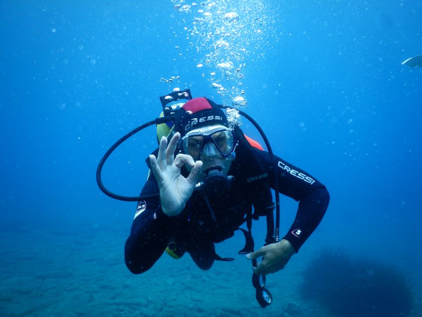 Agia Pelagia: Introduction to Scuba Diving Experience - Who This Is For, and Who Should Skip It