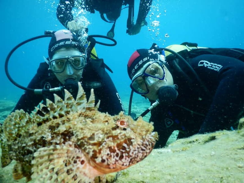 Agia Pelagia: Introduction to Scuba Diving Experience - The 30-Minute Briefing That Turns Nerves Into Focus