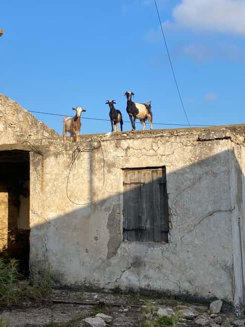 Agia Pelagia: Sunset or Morning Quad Tour & Ghost Town Visit - The End of the Ride: Raki, a Sweet, and Included Photos