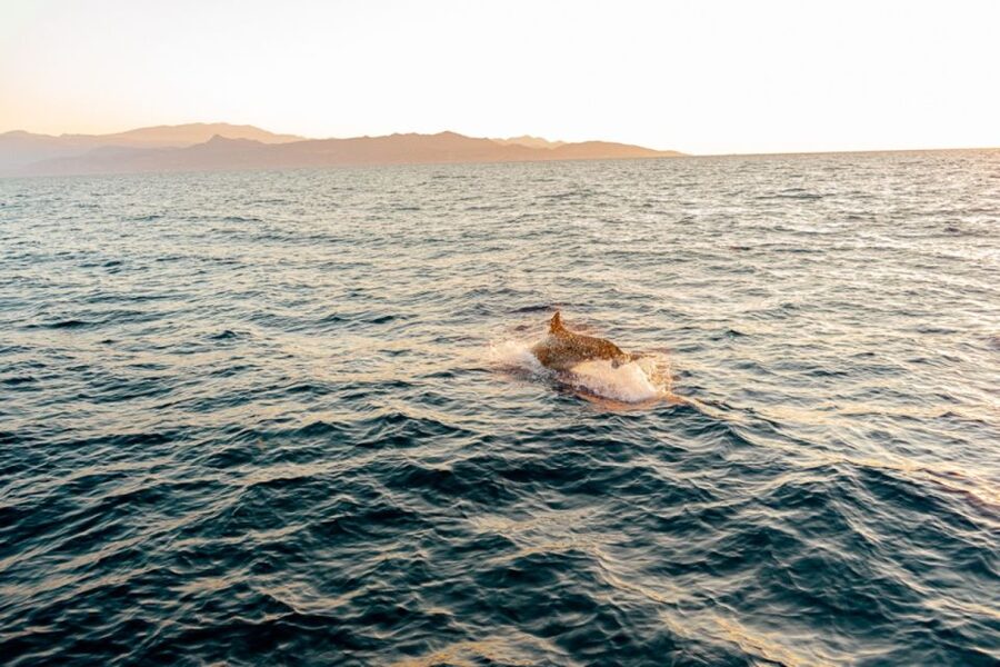 Agios Nikolaos: Mirabello Bay Sailing Cruise with Meal - Sailing Through Mirabello Bay: The Sea View Warm-Up