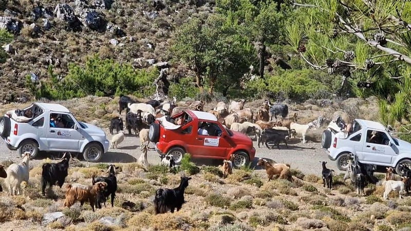 Agios Nikolaos: Thripti Mountain Villages Jeep Tour w/Lunch - The Ierapetra start, safety briefing, and how to be ready
