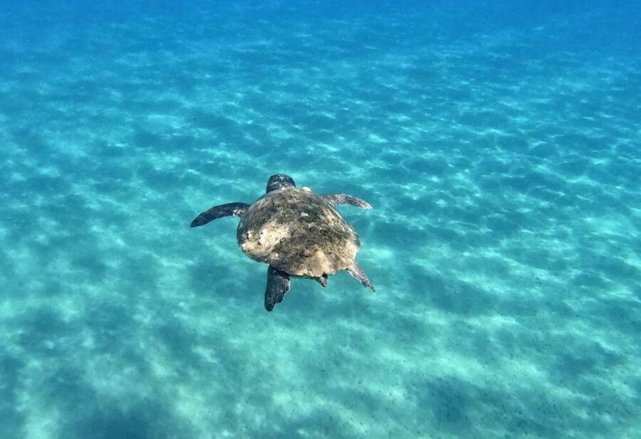 Agios Sostis: Marathonissi, Keri Caves, and Turtle Spotting - Packing for Keri Caves and Marathonisi, Without Overpacking