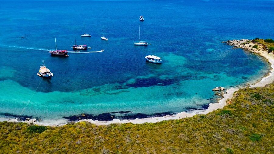 Argostoli: Full-Day Boat Cruise with Lunch - Who this cruise suits best