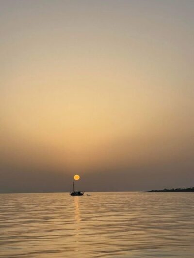 Sunset Cruise with Swim Stops, Dinner, and Wine