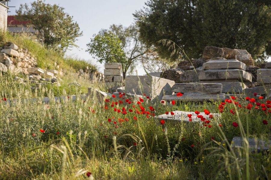 Athens: Acropolis Beat the Heat Guided Tour - Who this tour is best for, and who should skip it