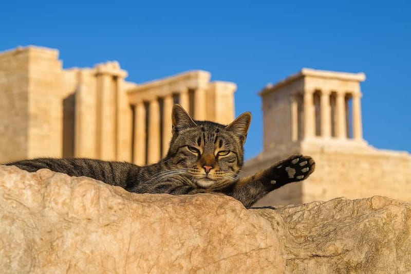 Athens: Acropolis Guided Tour with Skip-The-Line Tickets - Key Things To Know Before You Go
