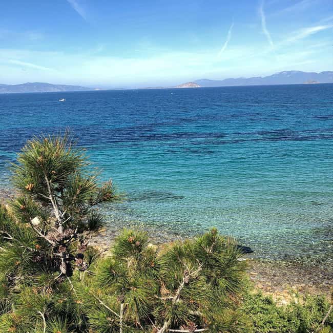 Athens: Aegina Island Small Group Premium Guided Tour - Ferry back to Athens: end the day without the stress