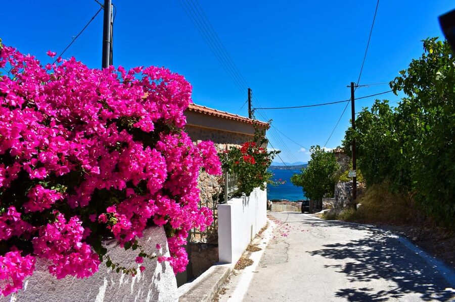 Athens: Agistri, Metopi & Aegina Cruise with Meals & Drinks - Boats, Comfort, and the Onboard Vibe at Marina Zeas