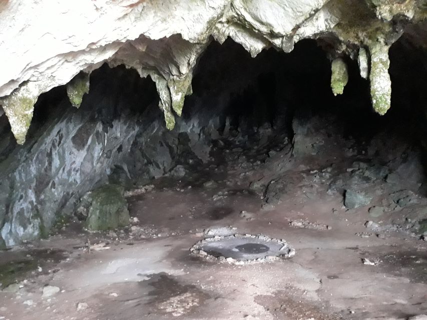 Athens: Delphi, Corycian Cave, and 300 Battlefield Day Trip - Parnassos and Corycian Cave, an off-road oracle stop from 4000 BC