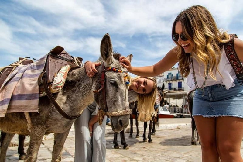 Athens: Hydra, Poros & Aegina Day Cruise with Lunch - Hydra: cobblestones, donkeys, and choosing your own pace