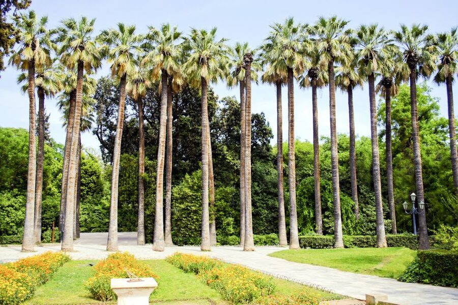 Athens Instagram Tour: The Most Scenic Spots - Key things that make this Athens Instagram Tour worth your time