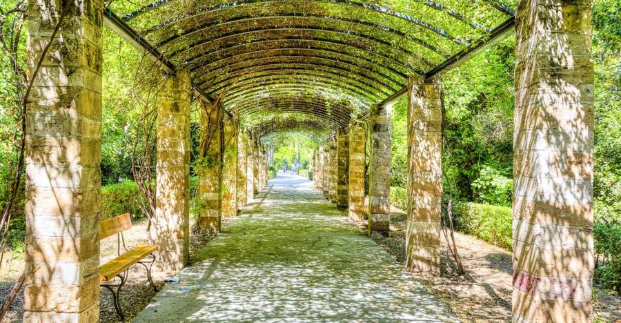 Athens Instagram Tour: The Most Scenic Spots - Athens in 2.5 hours, built around photos and local stories