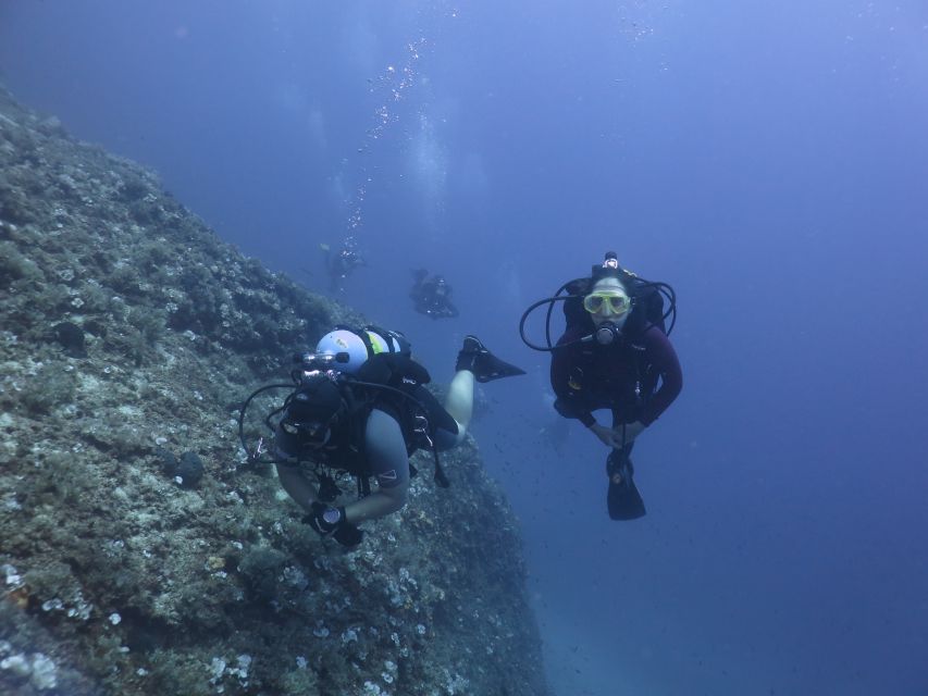 Athens: Private Discover Scuba Diving for Beginners - Key highlights you should care about
