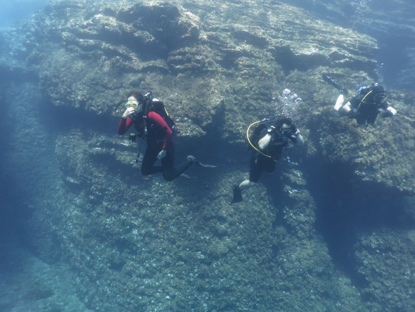 Athens: Private Discover Scuba Diving for Beginners - The Briefing: Skills You Practice Before You Go In