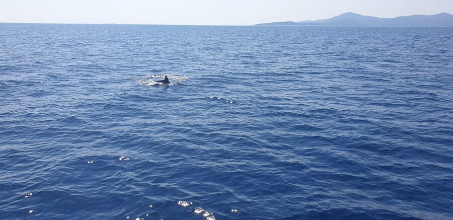 Athens: Riviera Catamaran Tour with Fresh Meal and Drinks - Comfort and weather: what to expect if conditions shift
