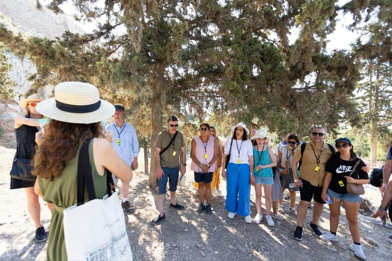 Athens: Sightseeing & Acropolis with Entry Tickets Included - Should you book this Athens tour?