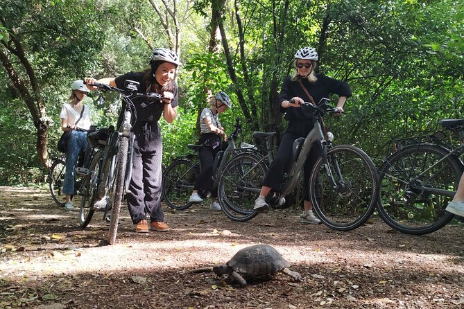 Athens Small Group E-Bike Tour - Guides, pacing, and why the stories matter