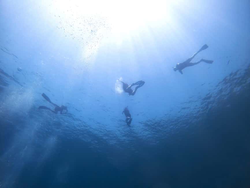 Athens: Snorkeling Riviera Adventure - First Steps: Meeting Near Alimos, Then Gear Up Fast