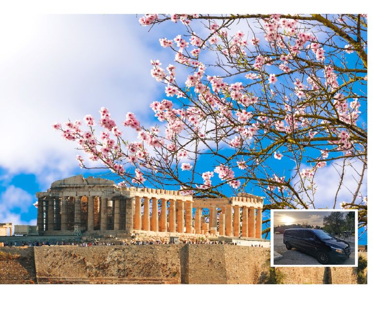 Athens: Wheelchair accessible Top Sights Half-Day Tour - Guides and drivers that make or break a mobility day