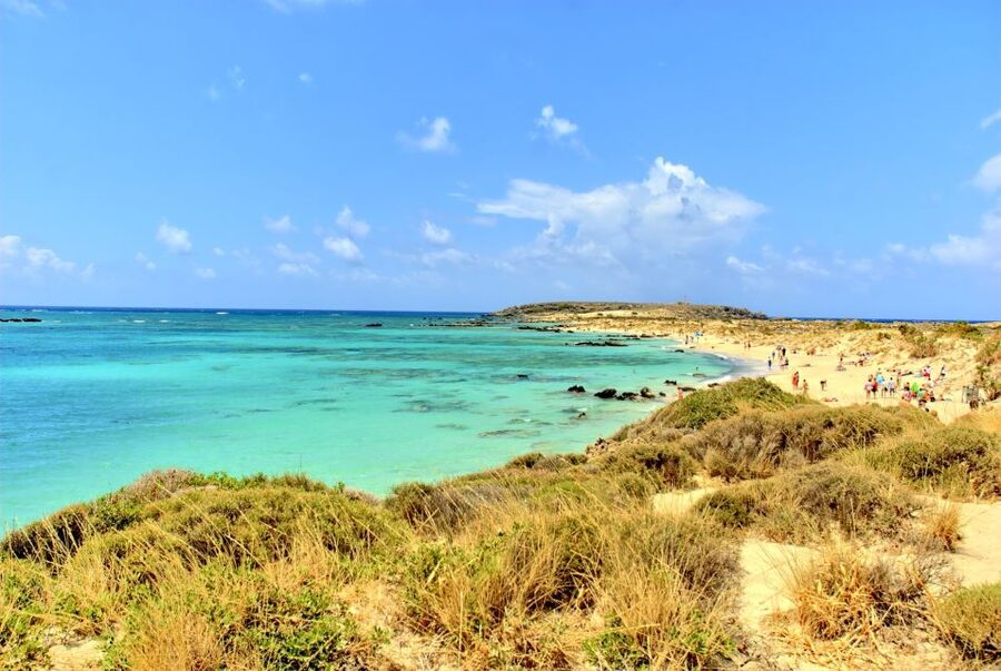 Black Rose Pirate Boat: 5-Hour Trip from Heraklion - Dolphins, sea turtles, and other sea-life moments