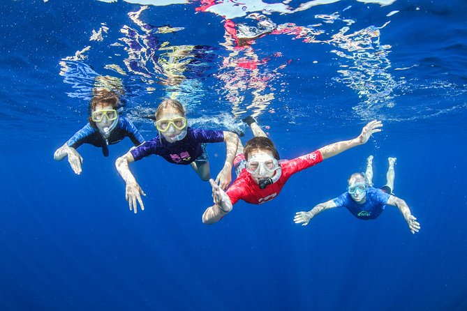 Boat Trip in Crete with Guided Snorkeling and Free Pick up! - Key points that matter before you go