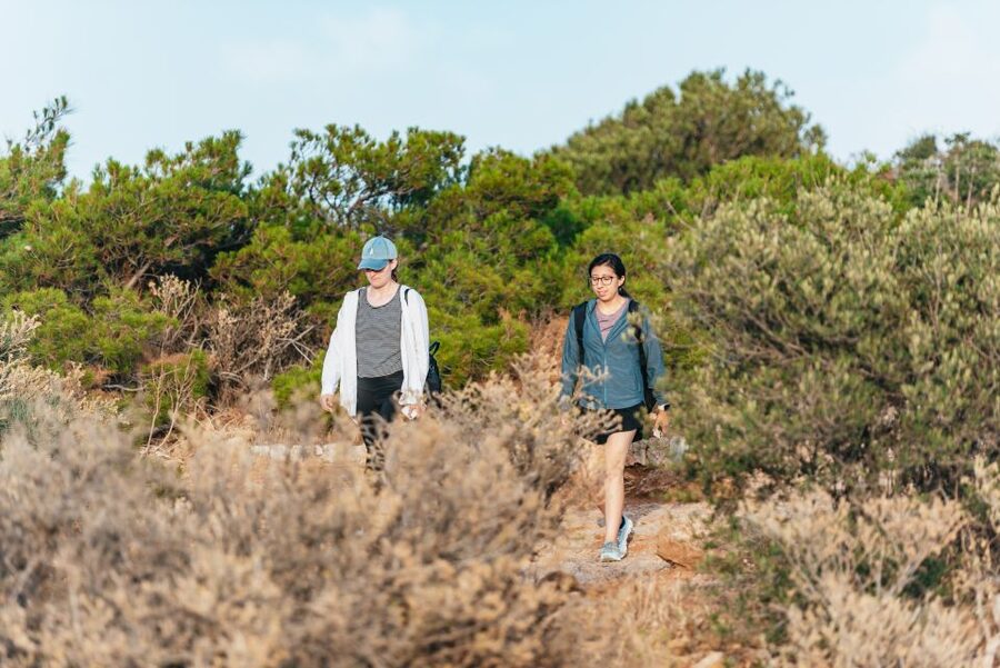 Cape Sounion & Temple of Poseidon: Small Group Tour - Who should book this tour, and who should skip it