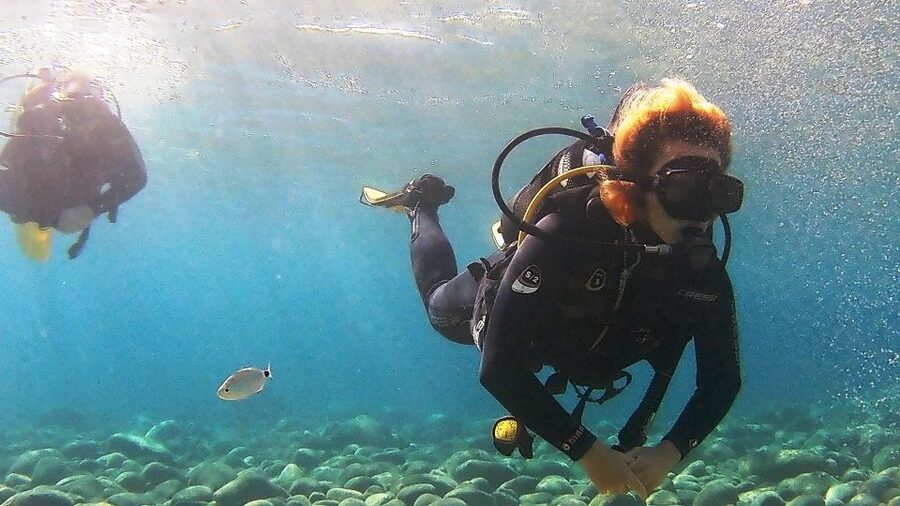 Chalkidiki: Scuba Diving for Beginners in Kassandra - Kassandra Makes a Great First Scuba Day in Chalkidiki
