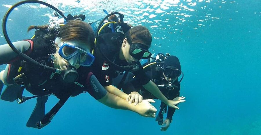 Chalkidiki: Scuba Diving for Beginners in Kassandra - What You’ll See Under the Water: Clear Water and Recognizable Mediterranean Sea Life