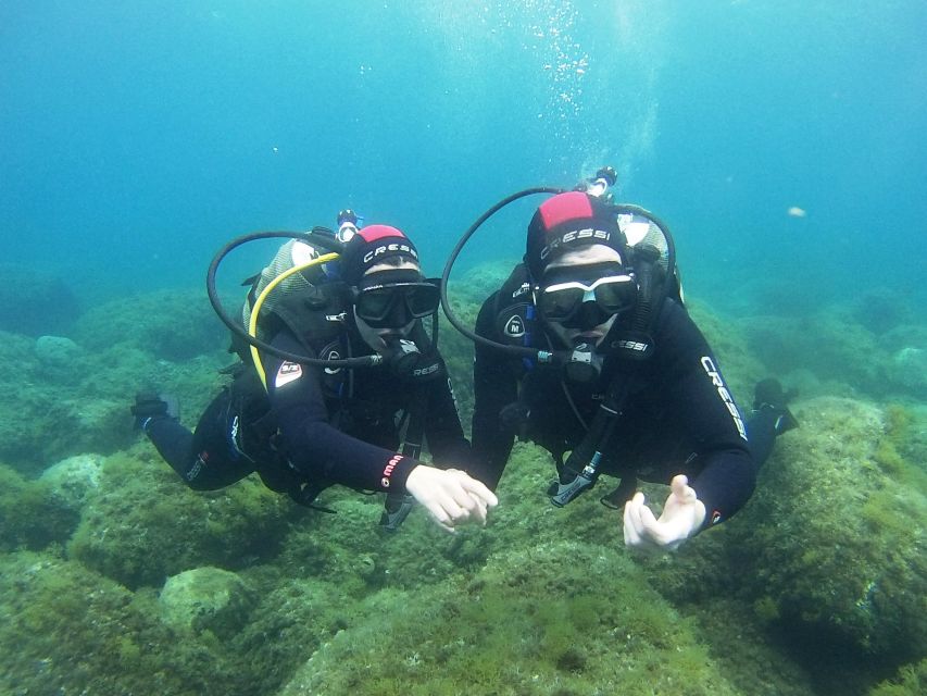 Chalkidiki: Scuba Diving for Beginners in Kassandra - Gear Included, Sanitized, and Set Up for Comfort