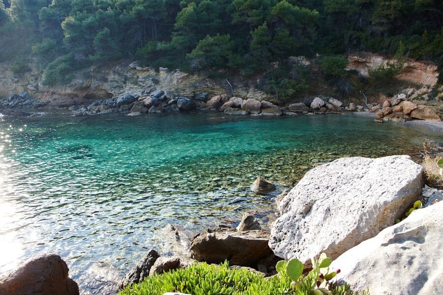 Chalkidiki: Scuba Diving for Beginners in Kassandra - Should You Book This Beginner Scuba Experience in Kassandra?