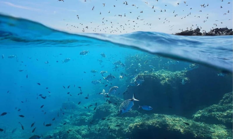 Chalkidiki: Snorkeling Adventure in Sithonia - What to bring, what to skip, and how to be ready