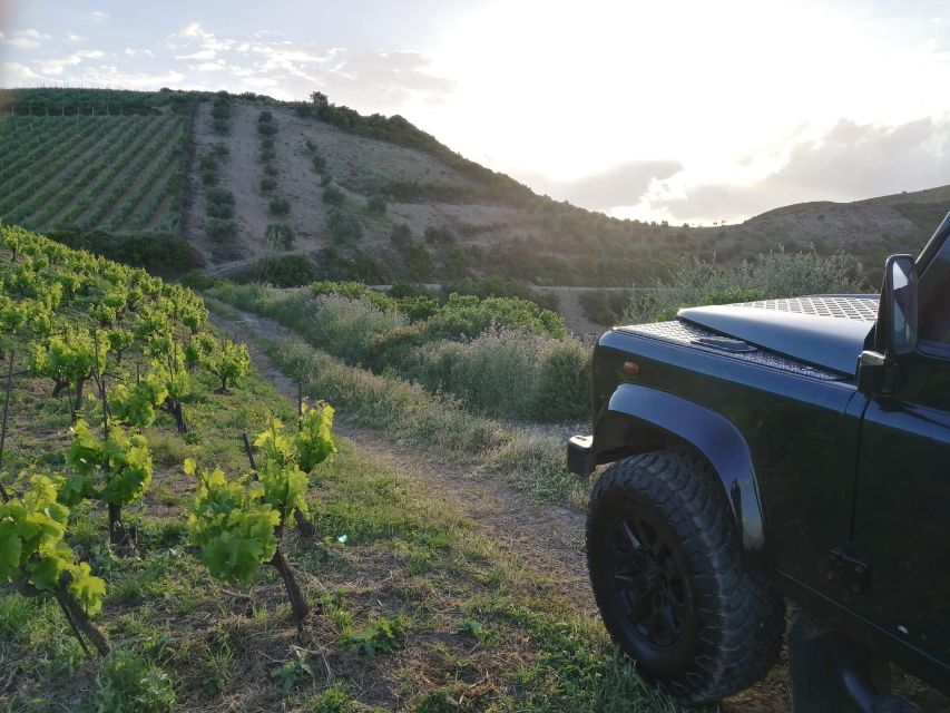 Chania 4x4 Sunset Safari Tour - Price and value: why $93 can feel fair for a 4.5-hour sunset plan