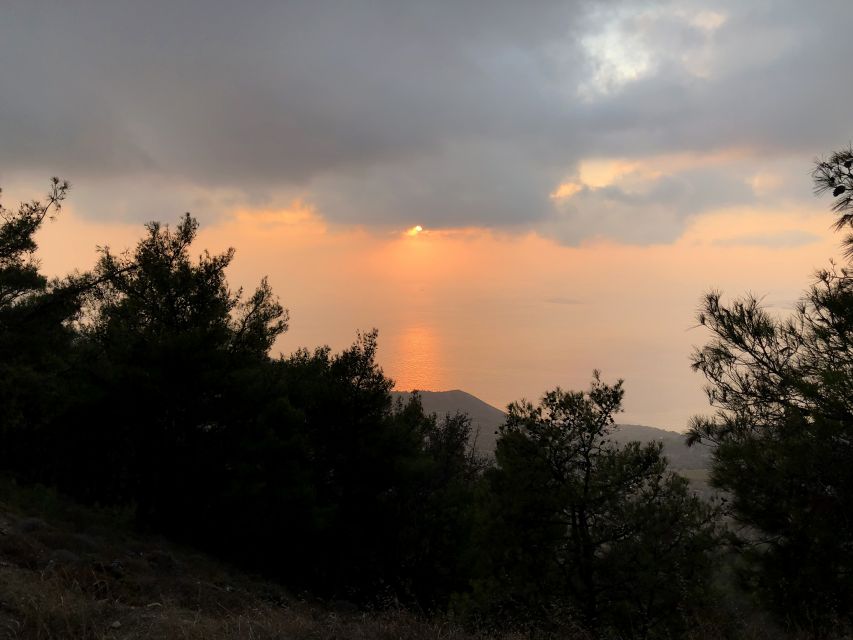 Chania 4x4 Sunset Safari Tour - Dinner in a small family tavern: meze, wine, and an unhurried finish