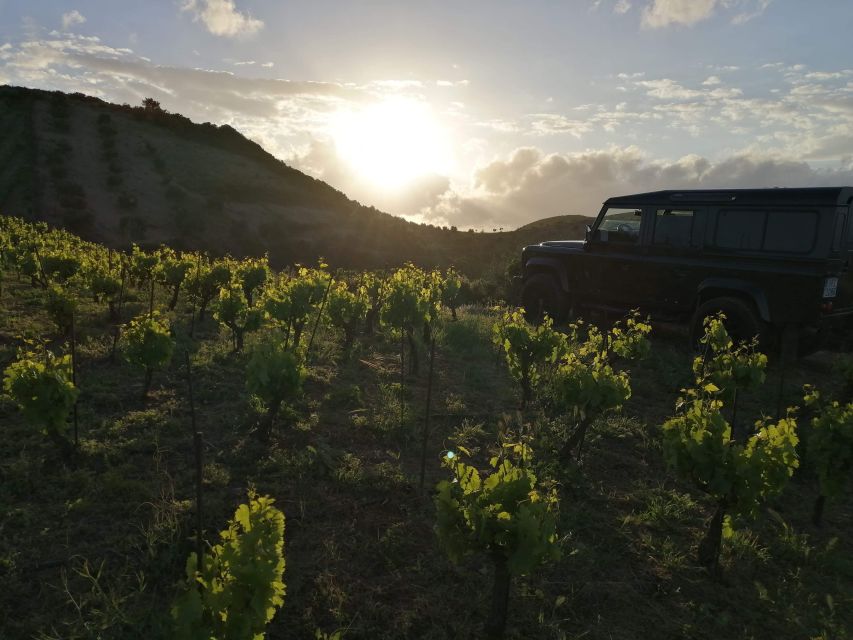 Chania 4x4 Sunset Safari Tour - How the last driving segment wraps the experience in one loop