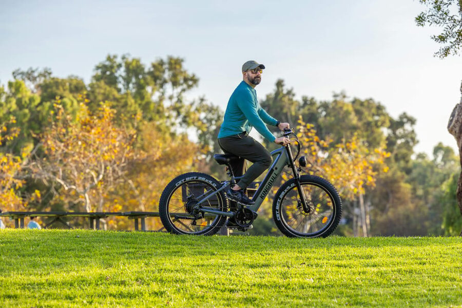 CHANIA AGIA LAKE: AN ECO EXPLORE E-BIKE ADVENTURE - Countryside roads: olive groves, vineyards, and orchard scenery