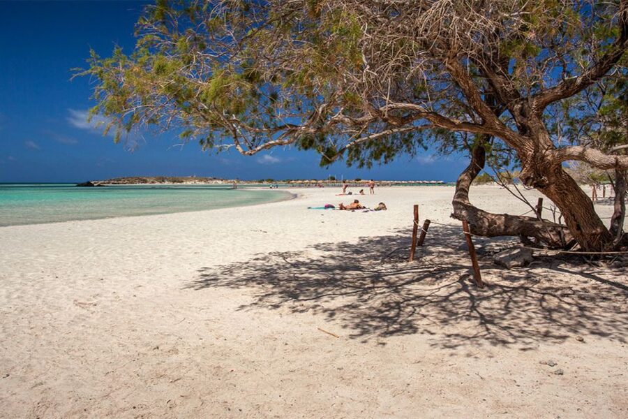 Chania: Elafonisi and Milia Mountain with Loungers and Lunch - Should you book? My practical take