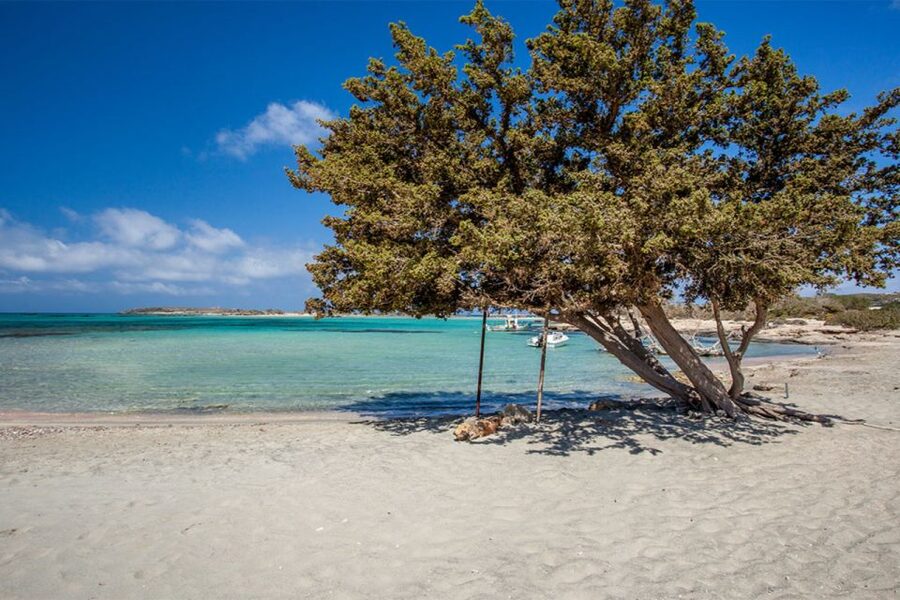Chania: Elafonisi and Milia Mountain with Loungers and Lunch - Comfort tips so you enjoy the beach and handle the roads