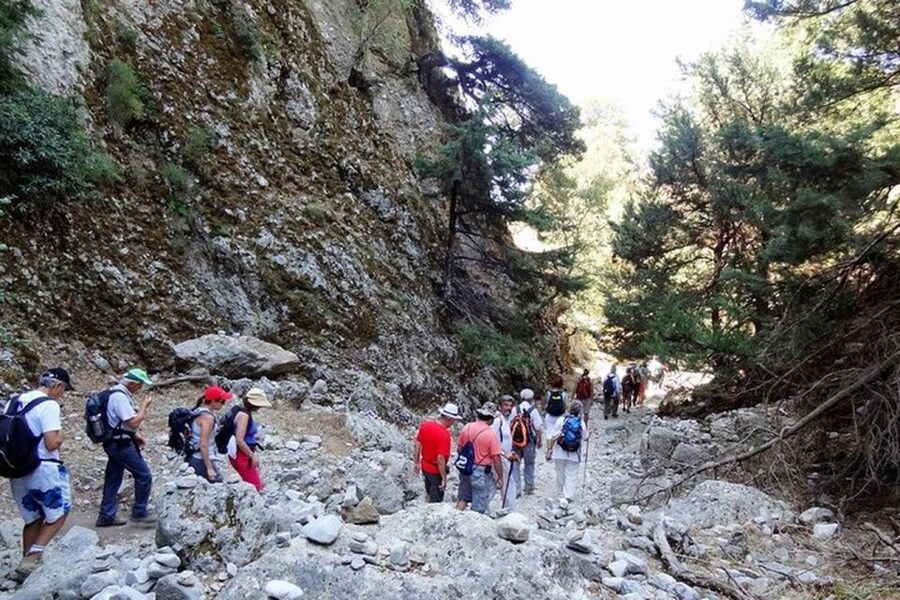 Chania: Imbros Gorge and Libyan Sea Day Tour - How the day runs from Chania, and where delays can feel annoying