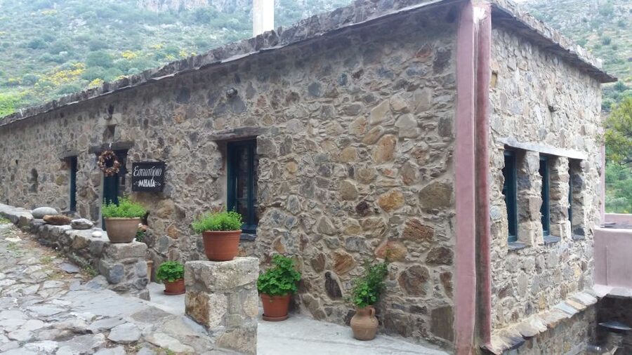 Chania: Milia Mountain Tour w/Lunch Olive Oil/Wine Tastings - Anoskeli’s Olive Mill and Winery: olive oil on warm bread, then 5 wines