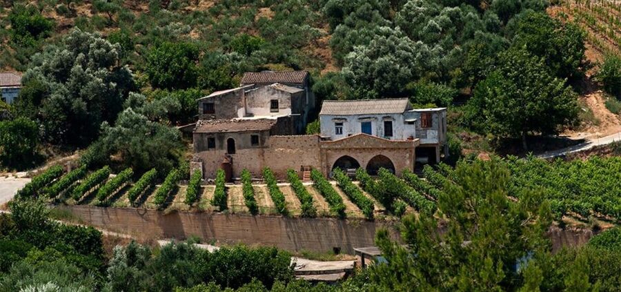 Chania: Milia Mountain Tour w/Lunch Olive Oil/Wine Tastings - The off-road segment: dirt roads, mountain bends, and real scenery time
