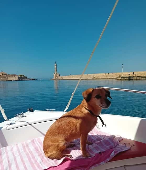 Chania Old Port: Boat Rental, Drive Yourself - Key highlights before you go
