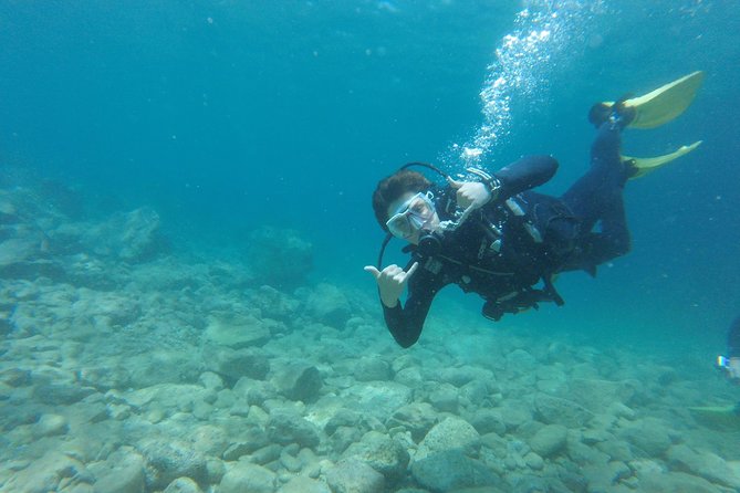 Chania: Scuba Diving for Beginners - What happens during the 45 minutes underwater