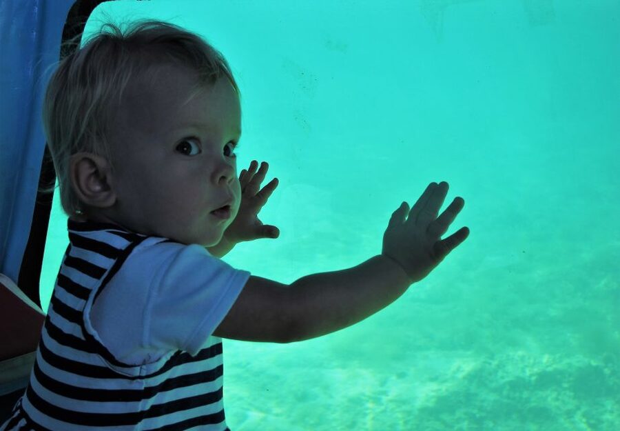 Chania: Semi-Submarine Boat Underwater Experience - Key highlights to know before you go