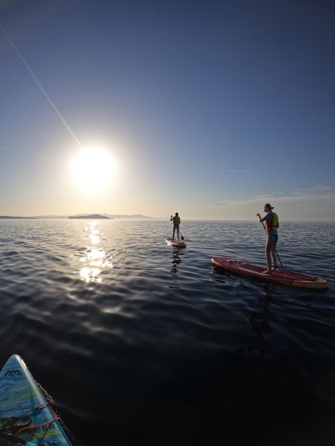 Chania: Stand-up Paddleboard Coastal Sunset Experience - Golden Hour From the Water in Chania