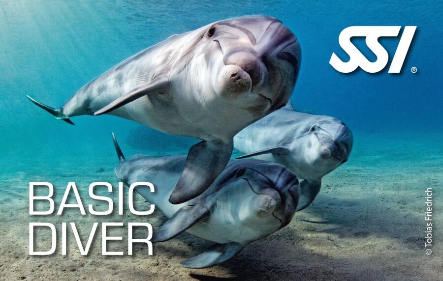 Chania:Try Scuba Diving 2shore dives(Receive Certification) - Two shore sessions up to 12 meters: what you are really paying for