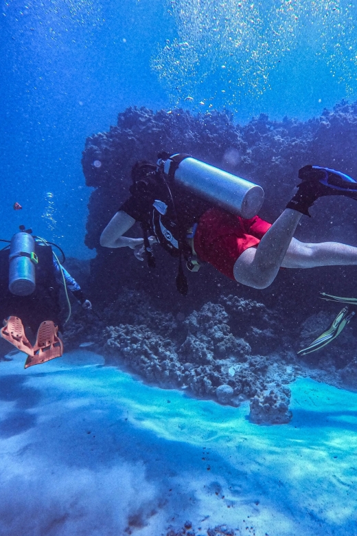 Chania:Try Scuba Diving 2shore dives(Receive Certification) - Certification you can actually use: SSI Basic plus an upgrade path