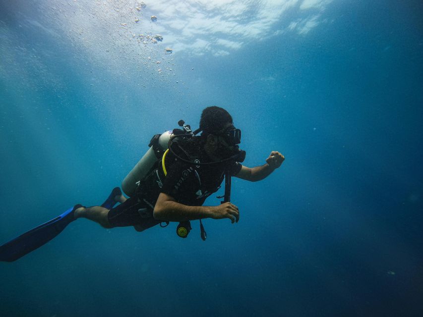 Chania:Try Scuba Diving 2shore dives(Receive Certification) - Price and value: why $200 makes sense for beginners